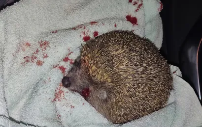 Foto: Mirjana Oliver