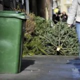 Ne bacajte svoje jelke nasred ulice/Foto: Boris Kovačev/CROPIX (ilustracija)