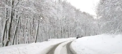 Foto: Pakrački list