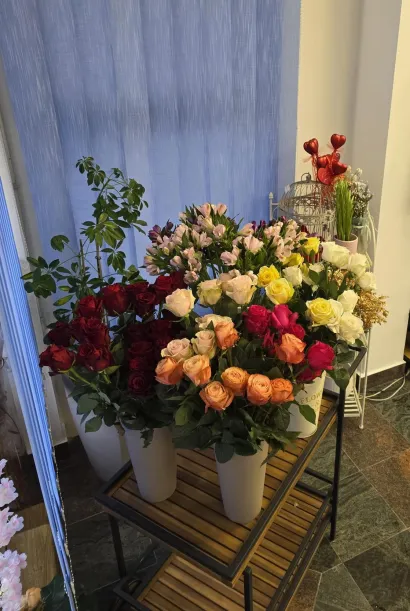 Foto: Privatni album