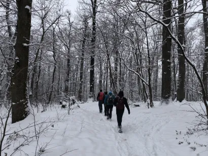 &Scaron;etnja kao iz bajke/Foto: Planinarsko dru&scaron;tvo Psunj