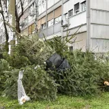 Foto: Damir Krajac/CROPIX 