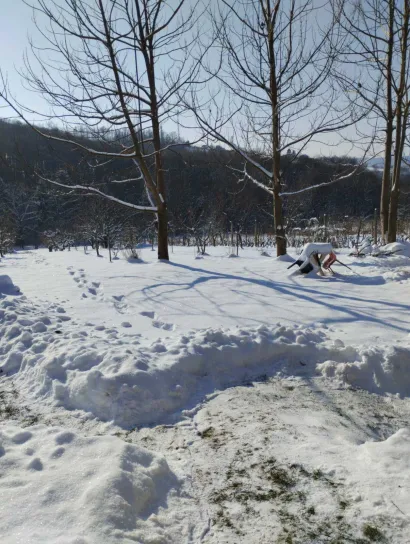 Idilično prizori iz sela oko Daruvara/Foto: Privatni album