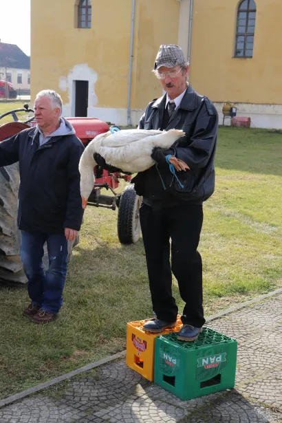 Među trinaest životinja na koje su okupljeni seljani licitirali na&scaron;ao se i jedan gusak, kojega je za 200 kuna kupio gradonačelnik Lipika Vinko Kasana/Foto: Compas