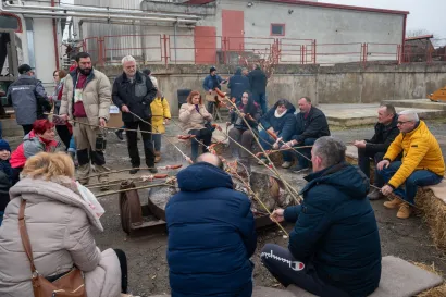 Foto: Predrag Uskoković/Grad Daruvar
