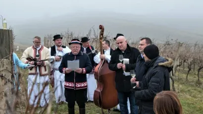 Obilježavanje Vincekova prije dvije godine/Foto: Grad Daruvar