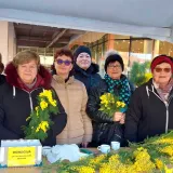 Članice daruvarske Lige prezadovoljne su odazivom/ Foto: Liga protiv raka Daruvar
