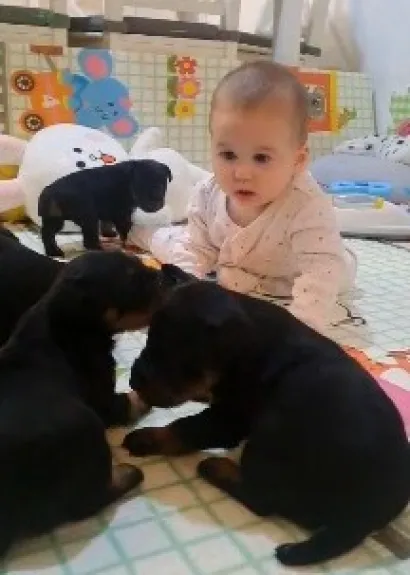 Ivanovići obožavaju životinje, a njihova kćerkica naučila je puzati uz psiće/Foto: Privatni album