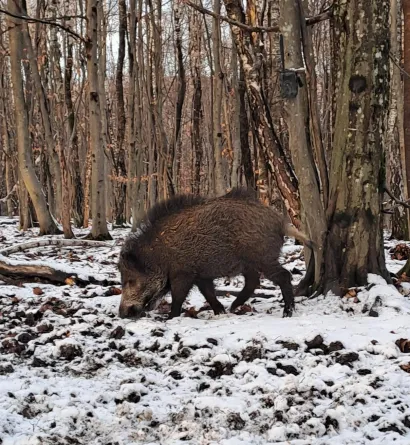 Lutanje &scaron;umom Grgi je najdraža zanimacija/Foto: Privatni album