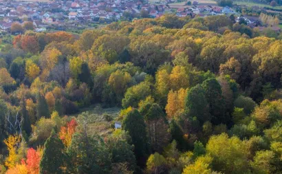 Foto: &Scaron;tefan Brajković