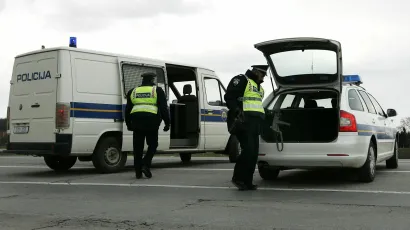 Policija je ženu zaustavila kada se automobilom iz &scaron;ume uključivala na cestu/Foto:Vlado Kos/Cropix (Ilustracija)