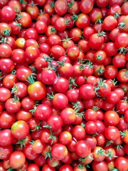 Fotografija govori 1000 riječi/Foto: Privatni album