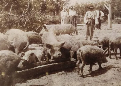 Na fotografijama je prikazan i nekada&scaron;nji seoski život/Foto: Državni arhiv u Bjelovaru