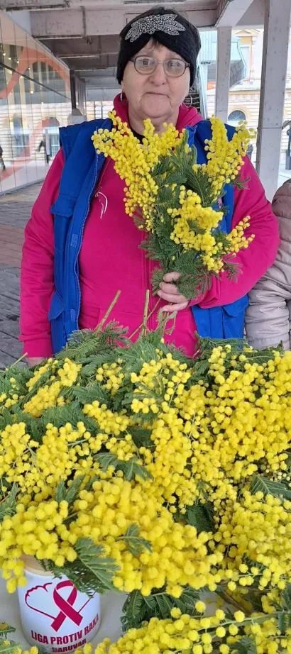 Daruvarčani vole mimoze/Foto: Liga protiv raka Daruvar
