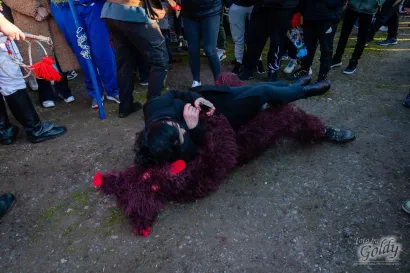 Medvjed u "akciji"/Foto: Foto by Goldy