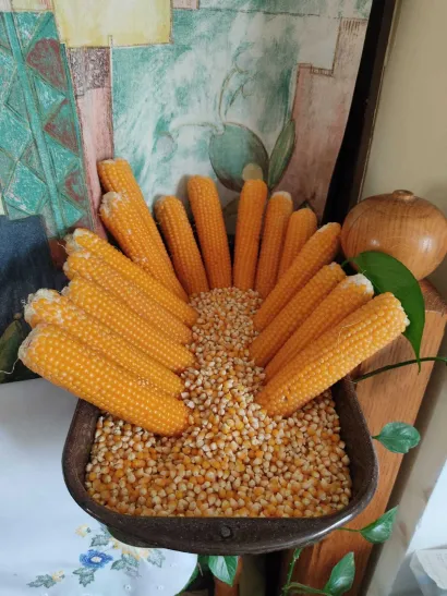 Bogatstvo prirode/Foto: Privatni album