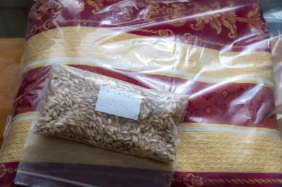 Foto: &Scaron;tefan Brajković