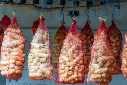 Foto: &Scaron;tefan Brajković