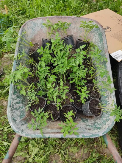 Foto: Privatni album