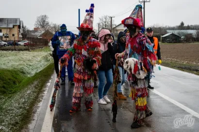 Samo veselo/Foto by Goldy