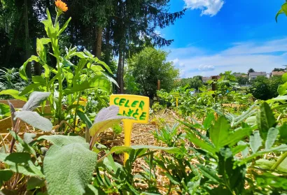 Foto: Nikica Puhalo/MojPortal.hr