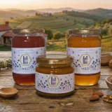 Čisti domaći med s daruvarskog OPG-a KollBee