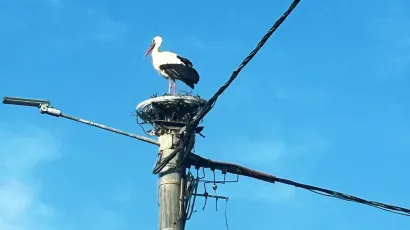 Foto: Ana-Maria &Scaron;truml-Tuček 