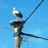 Foto: Ana-Maria &Scaron;truml-Tuček 