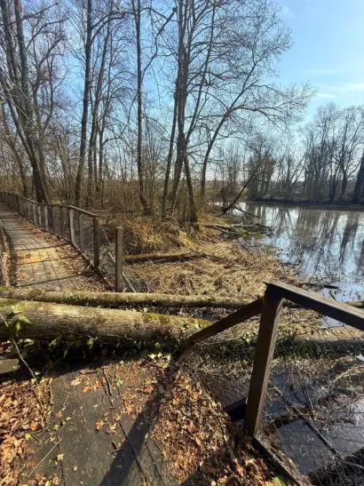 Stablo se sru&scaron;ilo preko &scaron;etnice/Foto: Grad Čazma