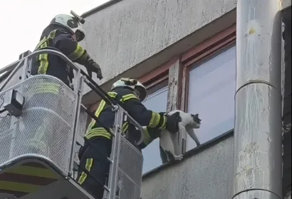 Foto: JVP Gare&scaron;nica