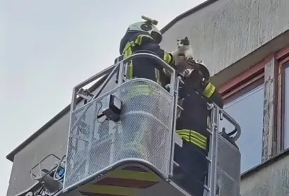 Foto: JVP Gare&scaron;nica