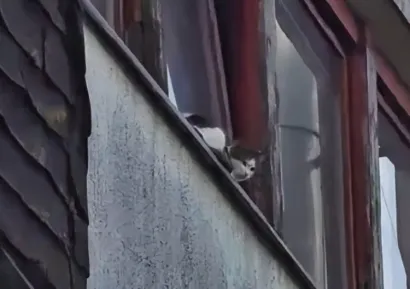 Foto: JVP Gare&scaron;nica