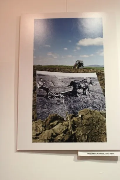 Za izložbu se odabrano 20 najboljih fotografija/Foto: Slavica Trgovac Martan