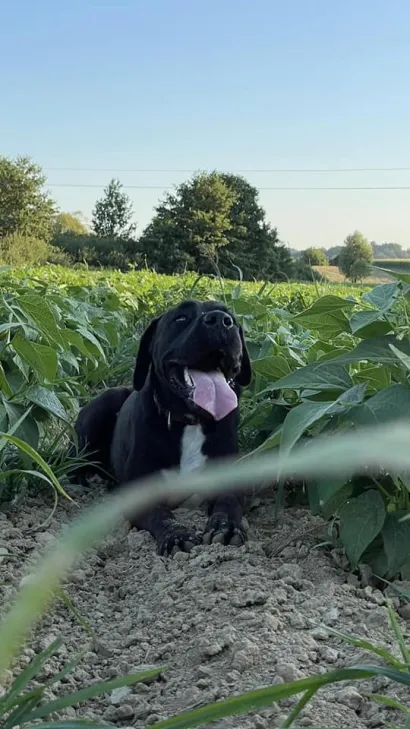 Idilični prizori iz Velike Maslenjače/Foto: Privatni album