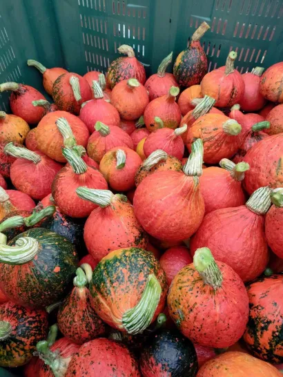 Foto: Privatni album