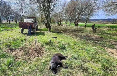 Foto: Privatni album