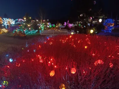 Foto: Čarolija svjetla Salaj