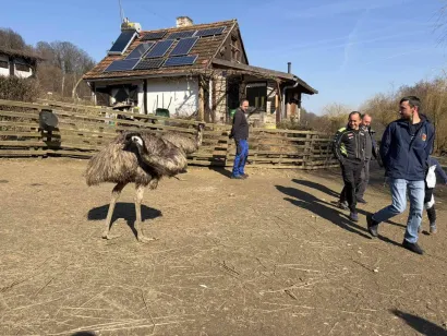 Druženje sa životinjama na konaku/Foto: Autocross klub Dežanovac