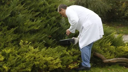 Foto: Damjan Tadic/CROPIX (Ilustracija)