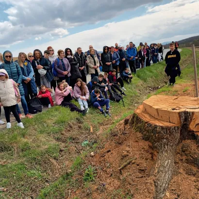 Foto: Župa Svetog Antuna Padovanskog - Daruvar II