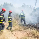 Foto: Danijela Peracic/CROPIX (Ilustracija)