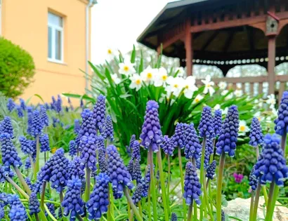 Područna &scaron;kola Pavlovac/Foto: O&Scaron; Mate Lovraka Veliki Grđevac