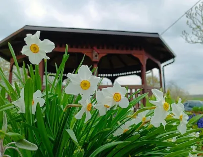Područna &scaron;kola PavlovacFoto: O&Scaron; Mate Lovraka Veliki Grđevac