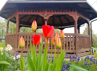 Područna &scaron;kola PavlovacFoto: O&Scaron; Mate Lovraka Veliki Grđevac