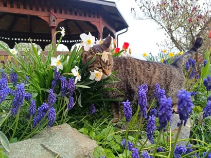 Područna &scaron;kola Pavlovac/Foto: O&Scaron; Mate Lovraka Veliki Grđevac