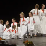 Foto: Zajednica udruga u kulturi BBŽ-a