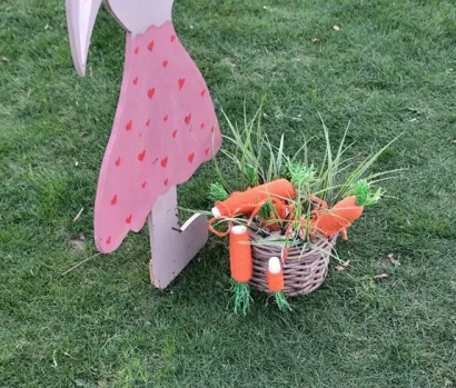 Mrkvice nisu preživjele prvu noć u parku/Foto: Komunalac Bjelovar