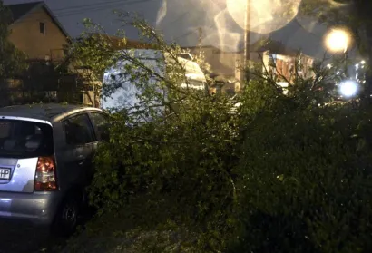 Foto: Lucija Ocko/Cropix