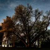 Večeras će Daruvar biti u mraku/Foto: Grad Daruvar