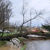 Osim u Rovi&scaron;ću, drvo je palo i na cestu u Lugu/Foto: Grad Bjelovar